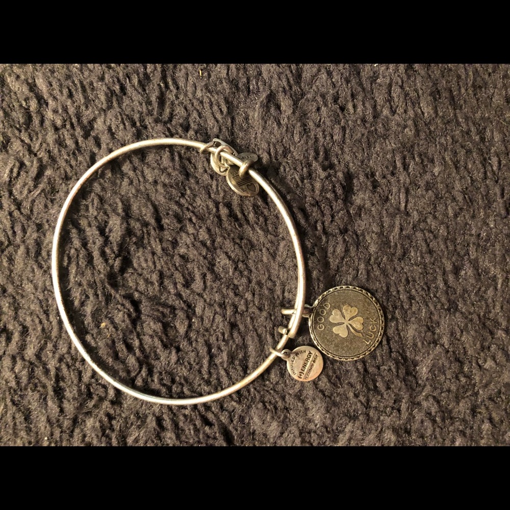 Good luck charm Alex and Ani